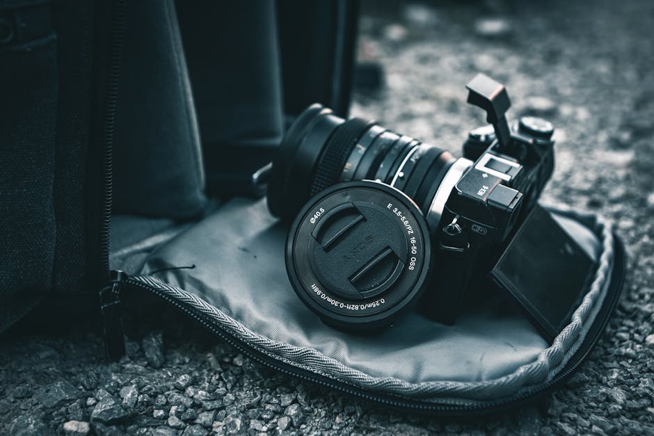 Human Connection and Relationships